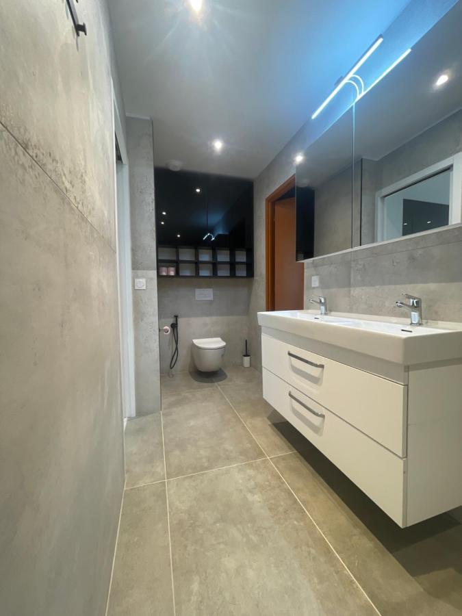 Chez Flo Apartment Grenoble Luaran gambar