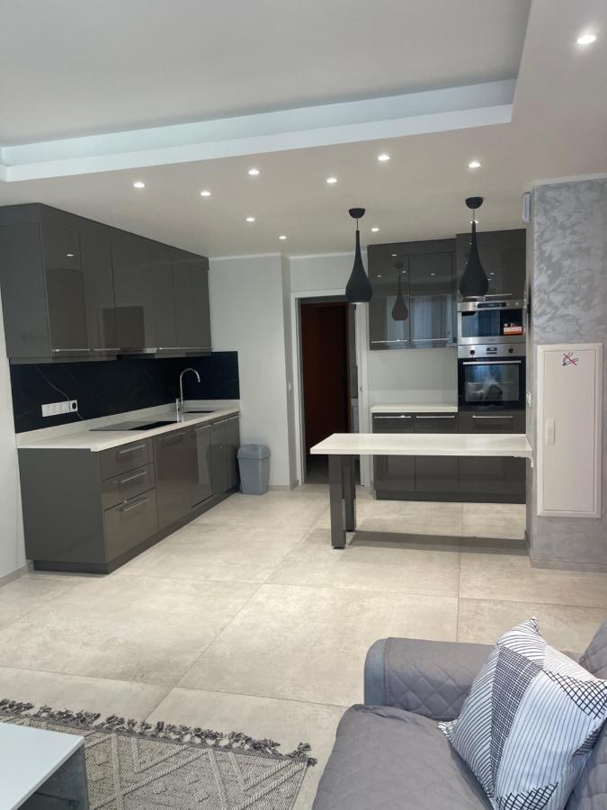 Chez Flo Apartment Grenoble Luaran gambar