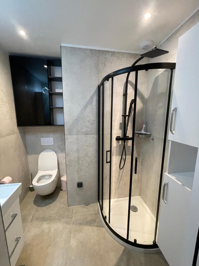 Chez Flo Apartment Grenoble Luaran gambar